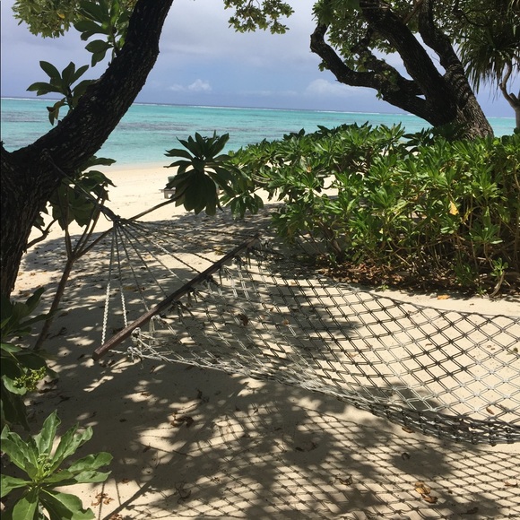 Meet your Posher, Deanne and Ruby πββ¬. - Picture 15 of 16